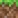 Bedrock
