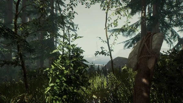 The Forest Server Hosting hero background